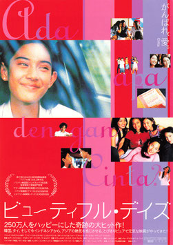 ビューティフル・デイズ(シアターキノ/チラシ外国映画)
