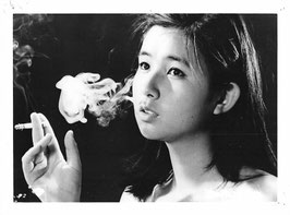 昭和枯れすすき(スチール写真14枚一括/日本映画)