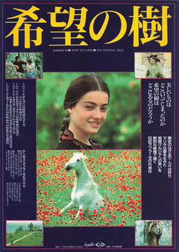 希望の樹(イメージ・ガレリオ/チラシ外国映画)