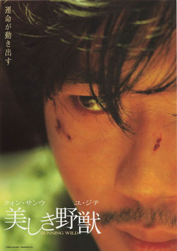 美しき野獣(館名ナシ/チラシ・アジア映画)