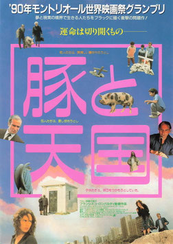 豚と天国(シアターキノ/チラシ外国映画)