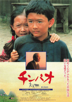 チンパオ(ヘラルドシネプラザ３/チラシ外国映画)