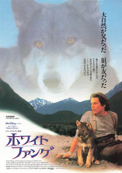 ホワイト・ファング(帝国座/チラシ外国映画)