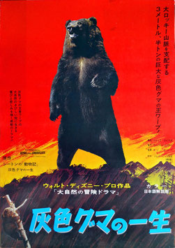 灰色クマの一生(ポスター外国映画)