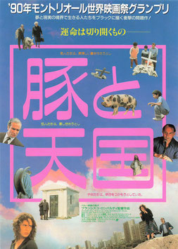 豚と天国(シアターキノ/チラシ外国映画)