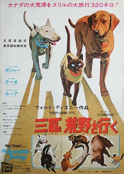 三匹荒野を行く( プレスシート/外国映画)