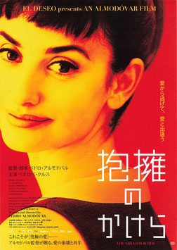 抱擁のかけら(チラシ外国映画)