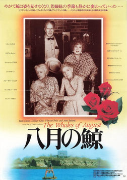 八月の鯨(シネマ５/チラシ外国映画)
