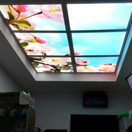 LED Deckenhimmel 1.24m x 1.86m - Set 6 Stück LED Panel 62x62cm, 48W, 6000-6500k, 0-10V dimmbar, inkl. Druck und Netzteil, Rahmenfarbe weiß