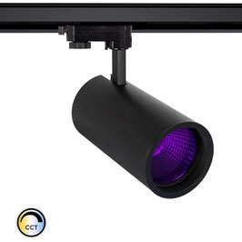 LED-Strahler FoodLux – Spezialbeleuchtung für Lebensmittel, 3-Phasen-Schienenstrahler, 40W, CCT, farbiges Glas
