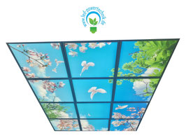 LED Deckenhimmel 1.86m x 2.48m - Set 12 Stück LED Panel 62x62cm, 48W, 6000-6500k, 0-10V dimmbar, inkl. Druck und Netzteil, Rahmenfarbe weiß