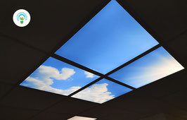 LED Deckenhimmel 1.20m x 1.20m - Set 4 Stück LED Panel 60x60cm, 48W, 6000-6500k, 0-10V dimmbar, inkl. Druck und Netzteil, Rahmenfarbe weiß