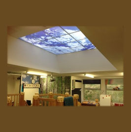 LED Deckenhimmel 2.40m x 2.40m - Set 16 Stück LED Panel 60x60cm, 48W, 6000-6500k, 0-10V dimmbar, inkl. Druck und Netzteil, Rahmenfarbe weiß