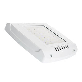 ClearBeam-Tankstellen-LED Strahler 75W | 120° ABW, 11.250lm, 5000K, IP69K
