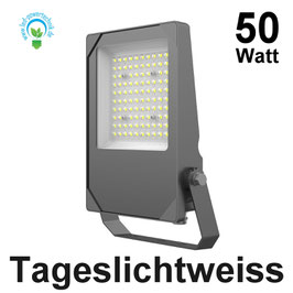 LED Fluter Gray 50W, 7100lm, Abstrahlwinkel 30° & 110°, 5700K tageslichtweiss, IP66