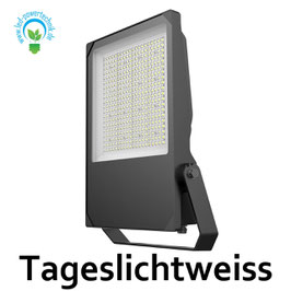 LED Fluter Helios Radiance 250W, 33.000lm, IP66, 5700K tageslichtweiss