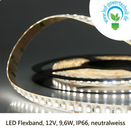 LED Stripes - Flexband, 12V, 9,6W, IP66, neutralweiss - 111909