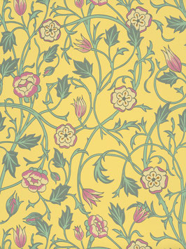 May's Tulip - Indian Yellow