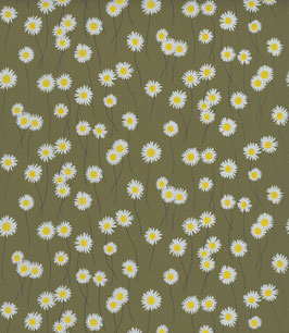 Moon Daisies - Olive Colour