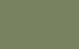 Sage Green #80