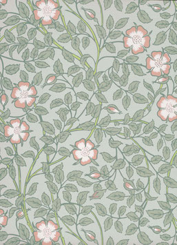 Briar Rose - Salix