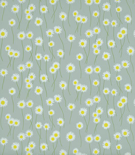 Moon Daisies - Celestial Blue