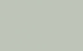 Pearl Colour - Dark #169