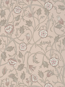 May's Tulip - Castell Pink