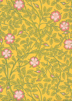 Briar Rose - Indian Yellow