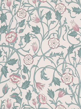 May's Tulip - Joanna