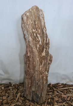 VH-1785 Maße 91/23/27cm