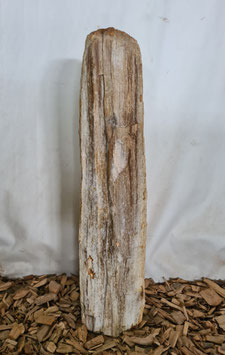 VH-1837 Maße 81/13/18cm