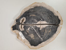 BS-2 Maße 5/52/60cm