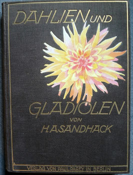 Dahlien und Gladiolen