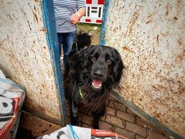 16.+17.05.26 - Spezial "Umdrehen"