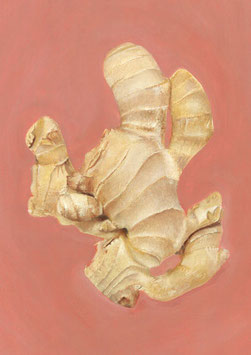 Ingwer, Kunstdruck (Fine Art Print)
