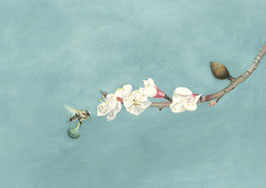 Biene mit Brokkoli und Mandelblüte, Kunstdruck (Fine Art Print)