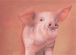 Schwein mit Nudel