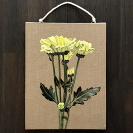 Plantlove 1