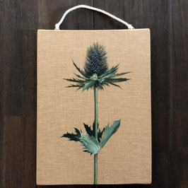 Plantlove 2