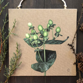 Plantlove 9