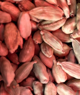 Cardamome