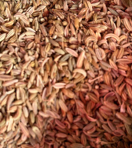 Fenouil