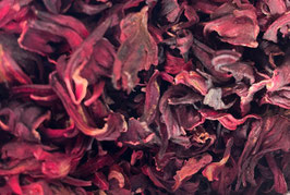 Hibiscus