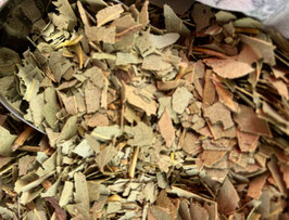 Eucalyptus