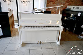 Schimmel