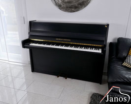Grotrian-Steinweg