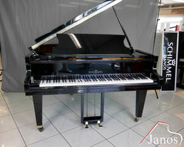 Schimmel