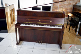Schimmel