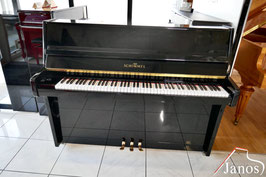 Schimmel
